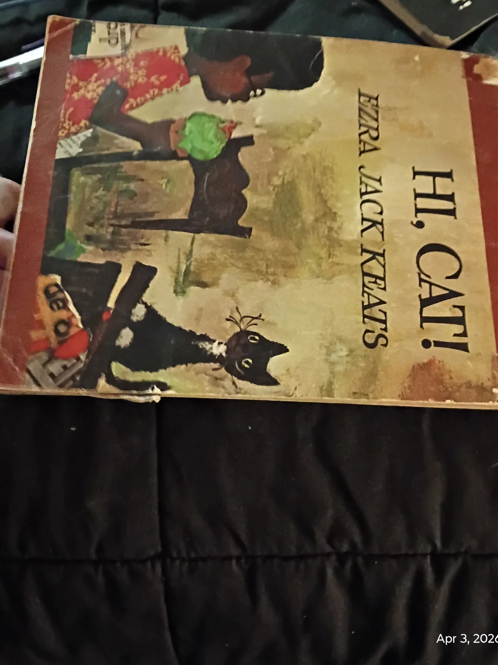 Hi, Cat! - Vintage Children’s Book (Black, Green)